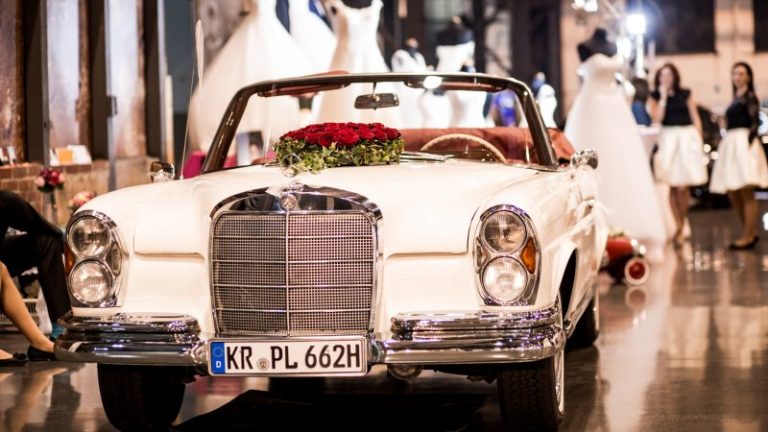 3E5A0972 800x450 1 768x432